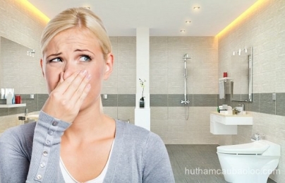 Hút hầm cầu tại phường Thuận Giao uy tín – phục vụ 24/7 – BH lâu dài tại Phường 1 Bảo Lộc Hút hầm cầu tại phường Thuận Giao uy tín – phục vụ 24/7 – BH lâu dài tại Phường 1 Bảo Lộc