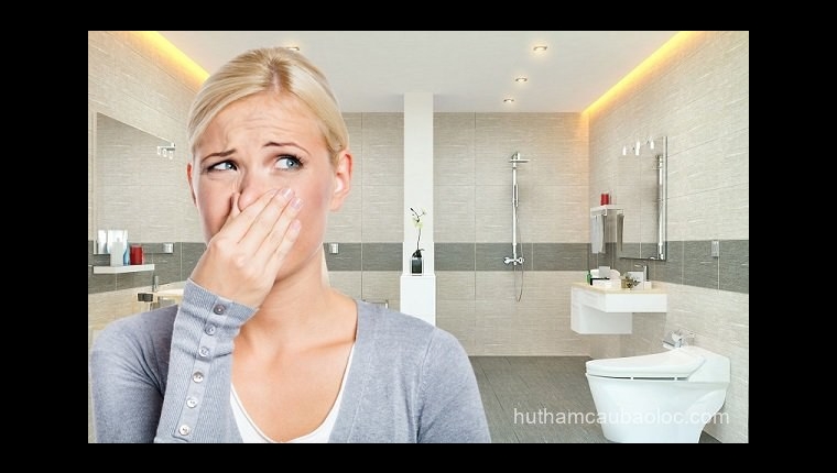 Hút hầm cầu tại Phường 1 Bảo Lộc uy tín – phục vụ 24/7 – BH lâu dài Hút hầm cầu tại Phường 1 Bảo Lộc uy tín – phục vụ 24/7 – BH lâu dài