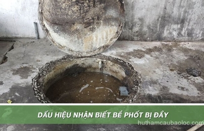 Xử Lý Mùi Hôi Nhà Vệ Sinh Phường 1 11 Giá Rẻ tại Phường 1 Bảo Lộc Xử Lý Mùi Hôi Nhà Vệ Sinh Phường 1 11 Giá Rẻ tại Phường 1 Bảo Lộc