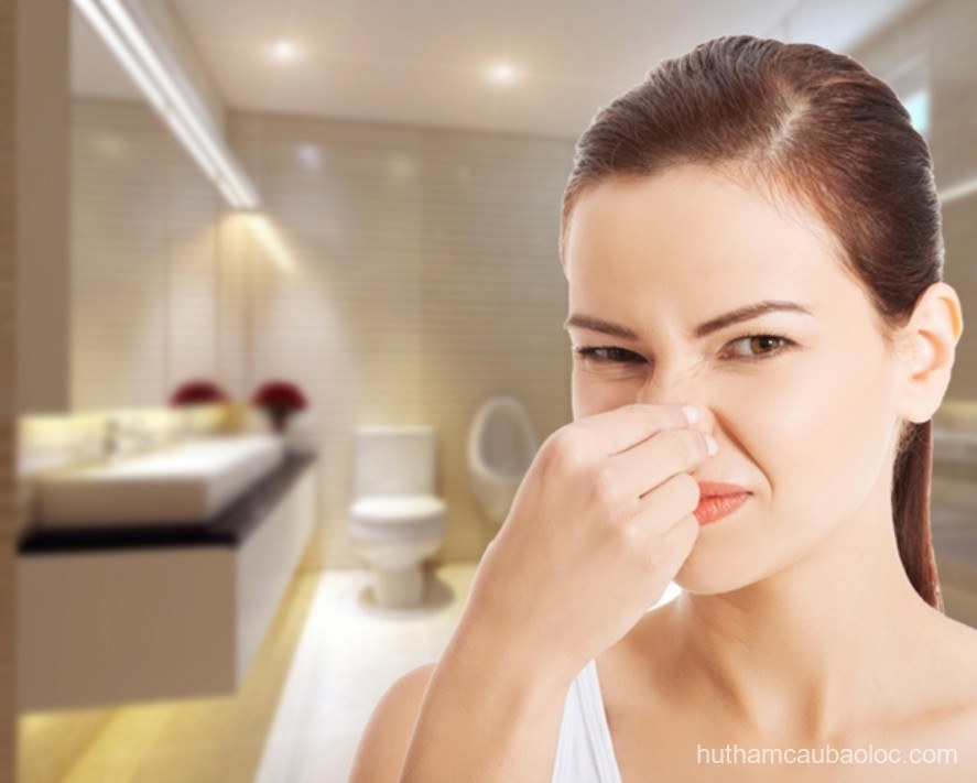 Hút hầm cầu Phường 1 1 Hút Sạch Triệt Để 100% [Công Nghệ Mới] tại Phường 1 Bảo Lộc - hình ảnh dịch vụ tại Bảo Lộc, Lâm Đồng