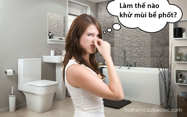 Dich vu ve sinh tai Bao Loc Lam Dong Dich vu ve sinh tai Bao Loc Lam Dong