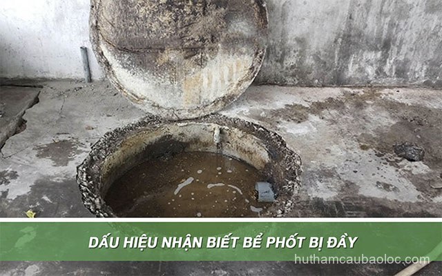 Dich vu ve sinh tai Bao Loc Lam Dong Dich vu ve sinh tai Bao Loc Lam Dong